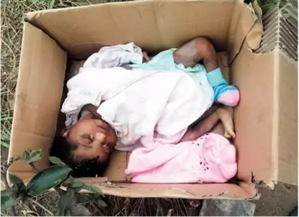 Photo: Baby found abandoned in carton near a refuse dump in Akwa Ibom, cries to death
